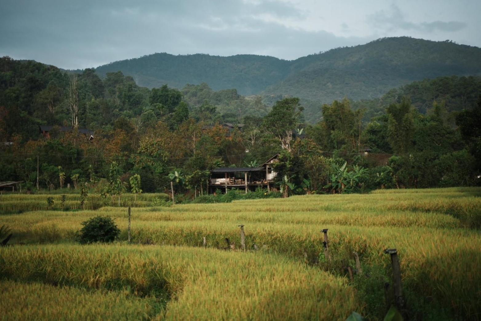 Por Joi ,Por Dee House Chiang Mai Exterior foto